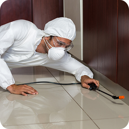 Residential and Commercial Pest Control Solutions in Ahmedabad
