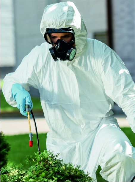 Best Pest Control Company in Ahmedabad