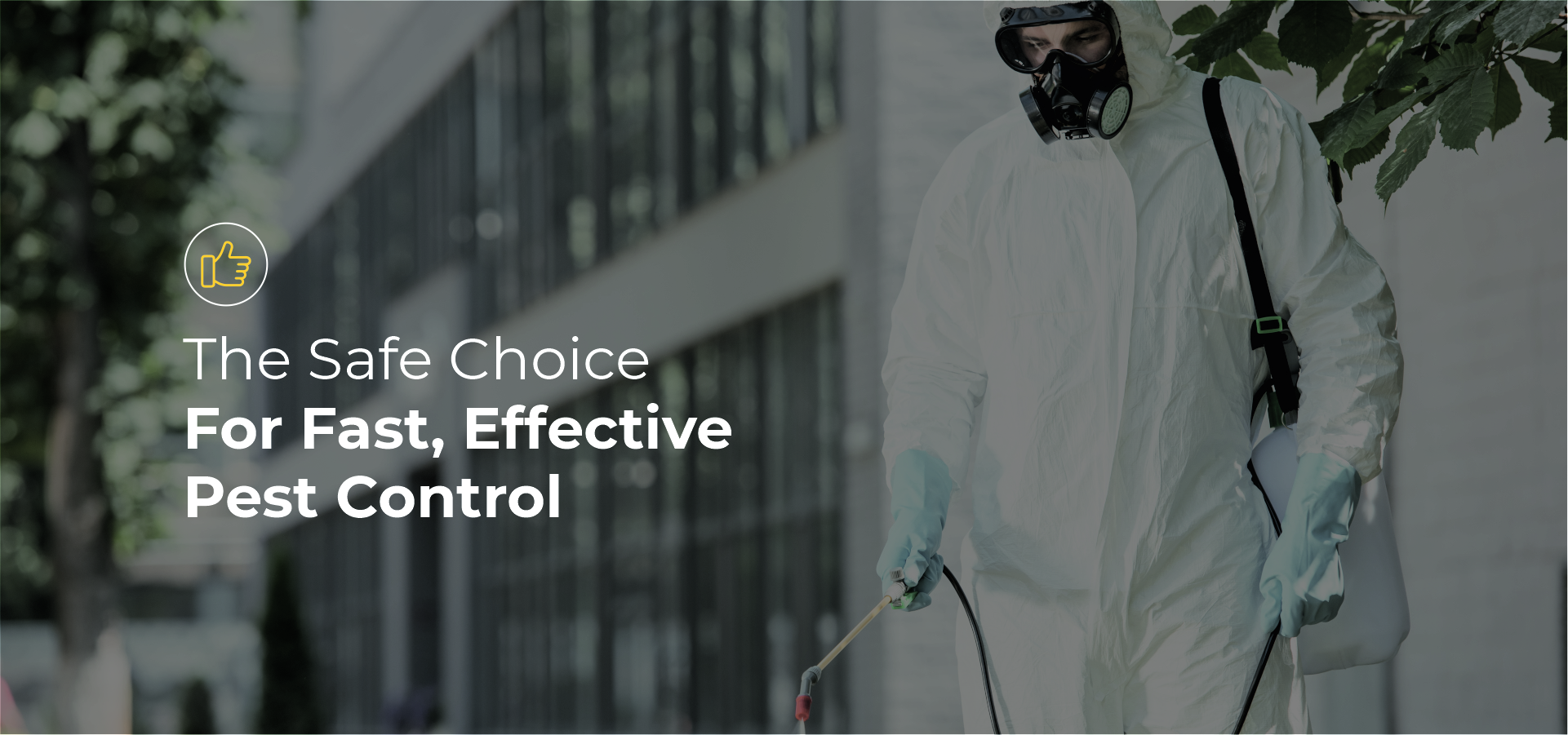Best Pest Control Srvices in Ahmedabad